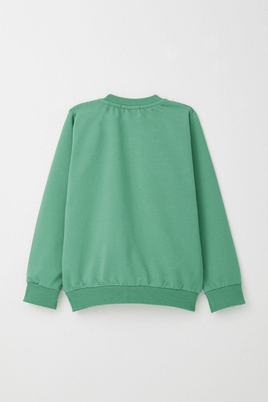 BRE Breeze Baby Boy Tracksuit Racer Bear Printed 9 Months-3 Years, Mint Green - Oakland Park
