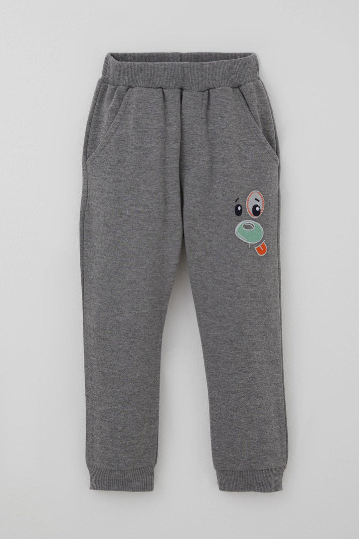 BRE Breeze Erkek Bebek Eşofman Takımı Kulaklıklı Köpekçik Nakışlı 9 Ay-3 Yaş, Su Yeşili - Pleasanton