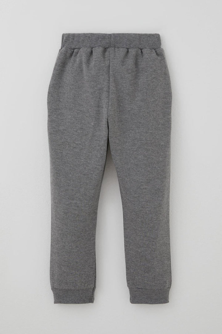 BRE Breeze Erkek Bebek Eşofman Takımı Kulaklıklı Köpekçik Nakışlı 9 Ay-3 Yaş, Su Yeşili - Pleasanton