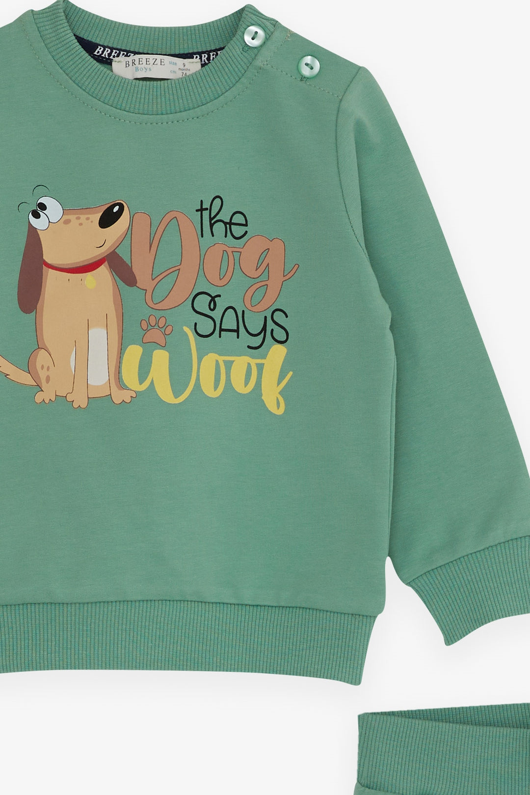 بدلة رياضية BRE Breeze Baby Boy مع طباعة Dizzy Dog من 9 أشهر إلى 3 سنوات، أخضر نعناعي - بحيرة Elsinore