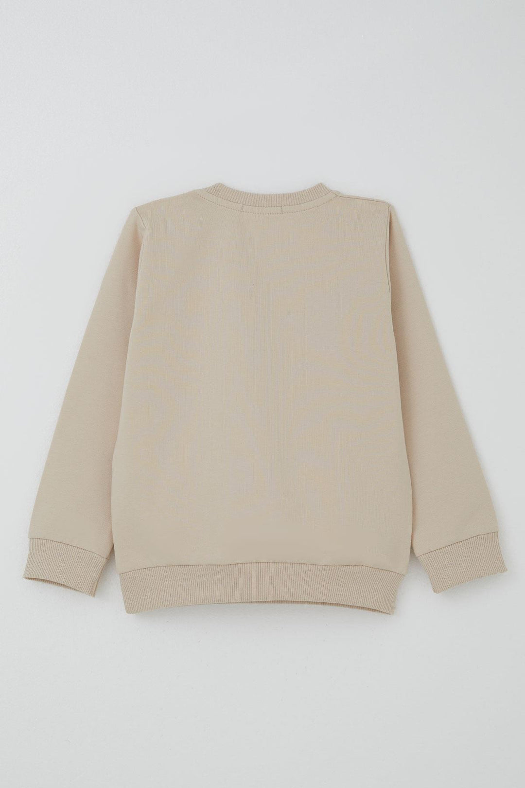 BRE Breeze Erkek Bebek Eşofman Takımı Sevimli Dinozor Nakışlı 9 Ay-3 Yaş, Bej - Oak Park