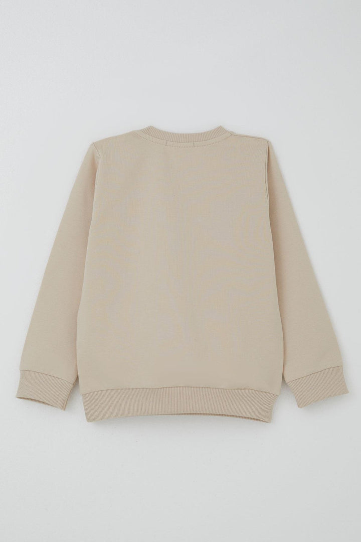 BRE Breeze Erkek Bebek Eşofman Takımı Sevimli Dinozor Nakışlı 9 Ay-3 Yaş, Bej - Oak Park