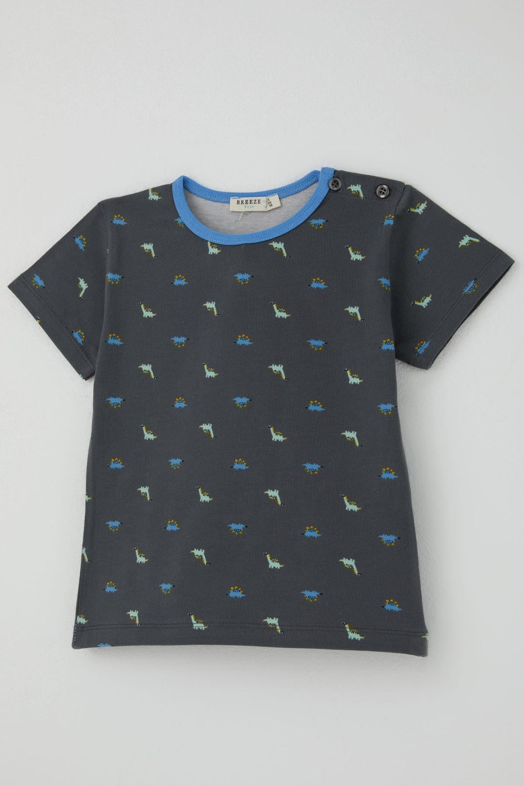 BRE Breeze Erkek Bebek Şortlu Pijama Takım Renkli Dinozor Desenli 9 Ay-3 Yaş, Antrasit - Darwin