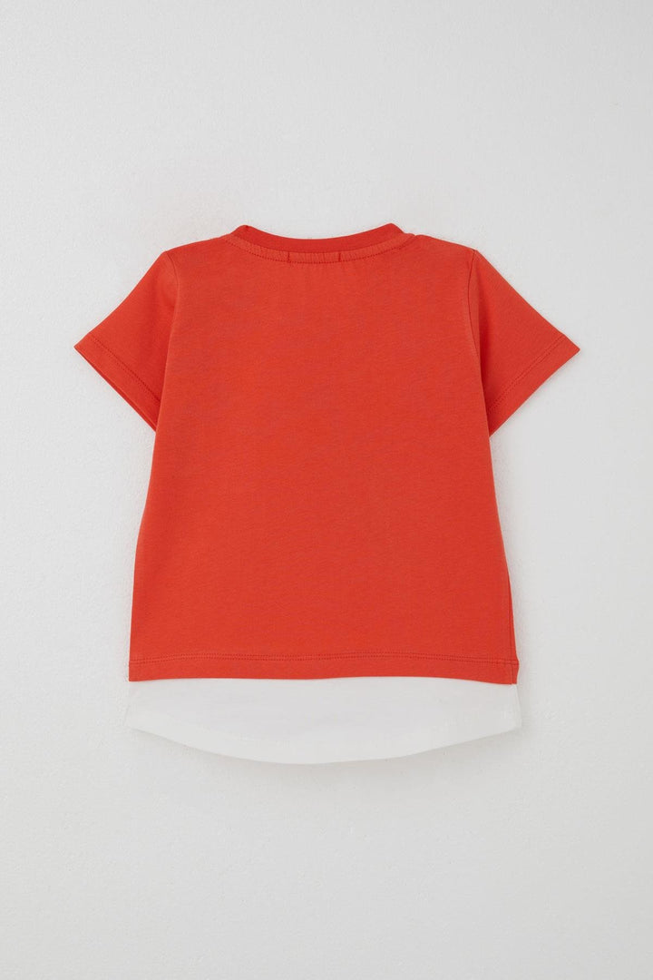 BRE Breeze Erkek Bebek Şortlu Takım Sevimli Kaptan Ayıcık Baskılı Cep Detaylı 9 Ay-3 Yaş, Narçiçeği - Media