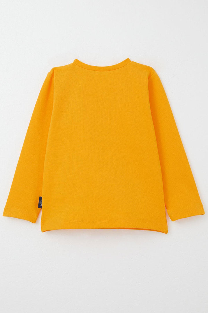 BRE Breeze Baby Boy Long Sleeve T-Shirt Basic 9 Months-3 Years, Mustard Yellow - Cholet
