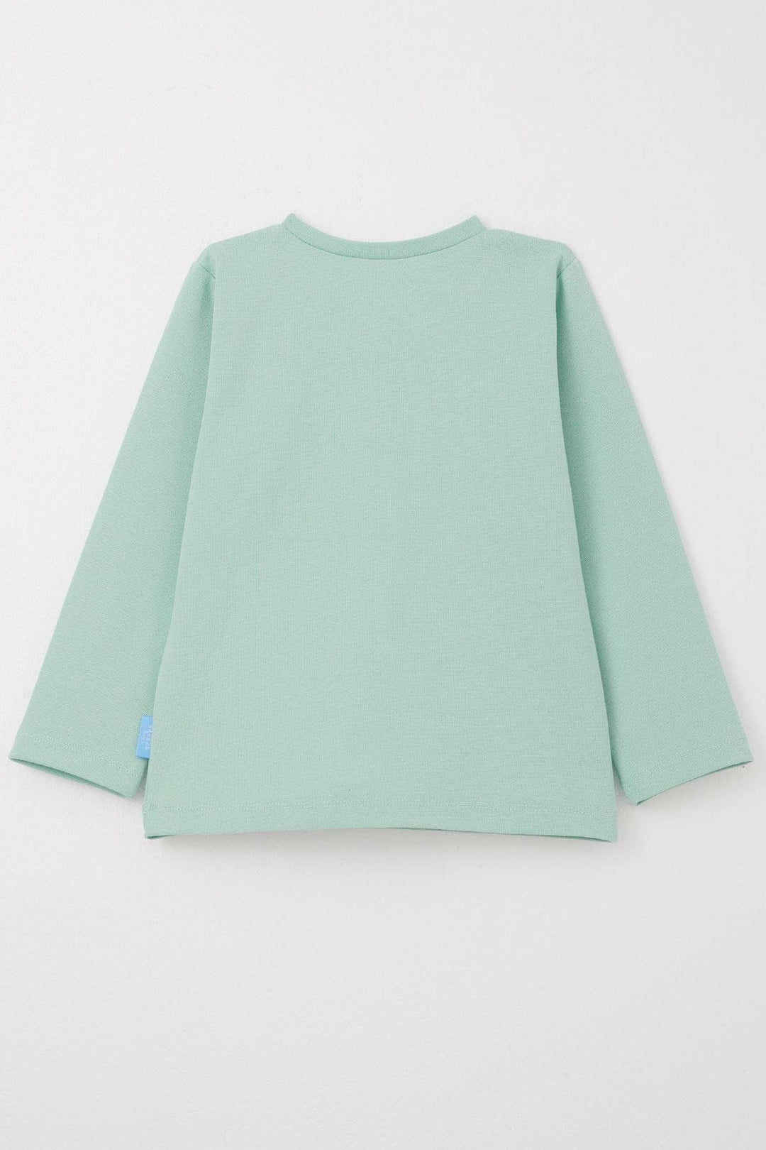 BRE Breeze Baby Boy Long Sleeve T-Shirt Basic 9 Months-3 Years, Aqua Green - Elizabeth