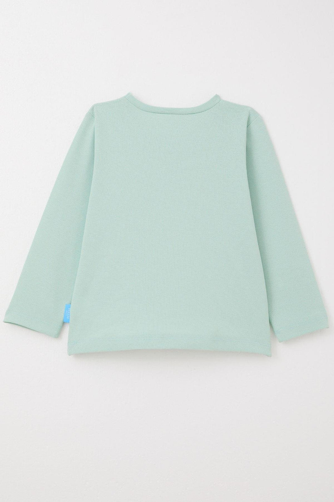 BRE Breeze Baby Boy Long Sleeve T-Shirt Basic 9 Months-3 Years, Mint Green - Bagheria