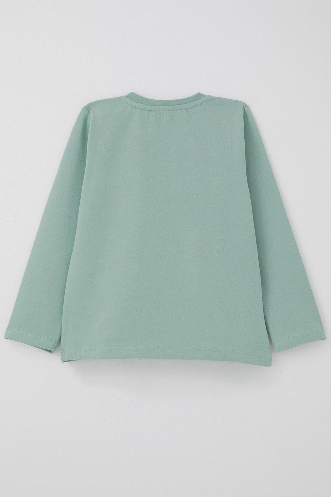 BRE Breeze Baby Boy Long Sleeve T-Shirt with Cool Writing, Arm Pocket, 9 Months-3 Years, Mint Green. - Trento