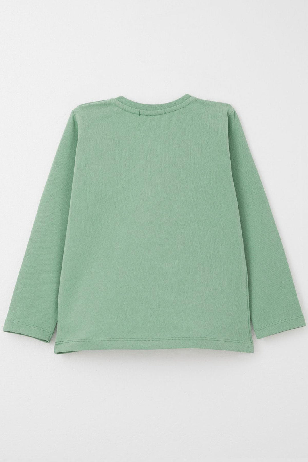 BRE Breeze Baby Boy Long Sleeve T-Shirt with Cute Bear Embroidery 9 Months-3 Years, Mint Green - Lierre