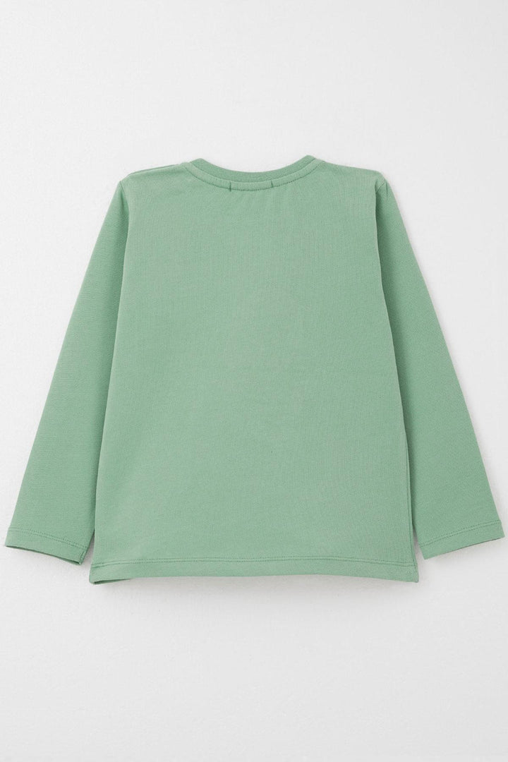 BRE Breeze Baby Boy Long Sleeve T-Shirt with Cute Bear Embroidery 9 Months-3 Years, Mint Green - Lierre