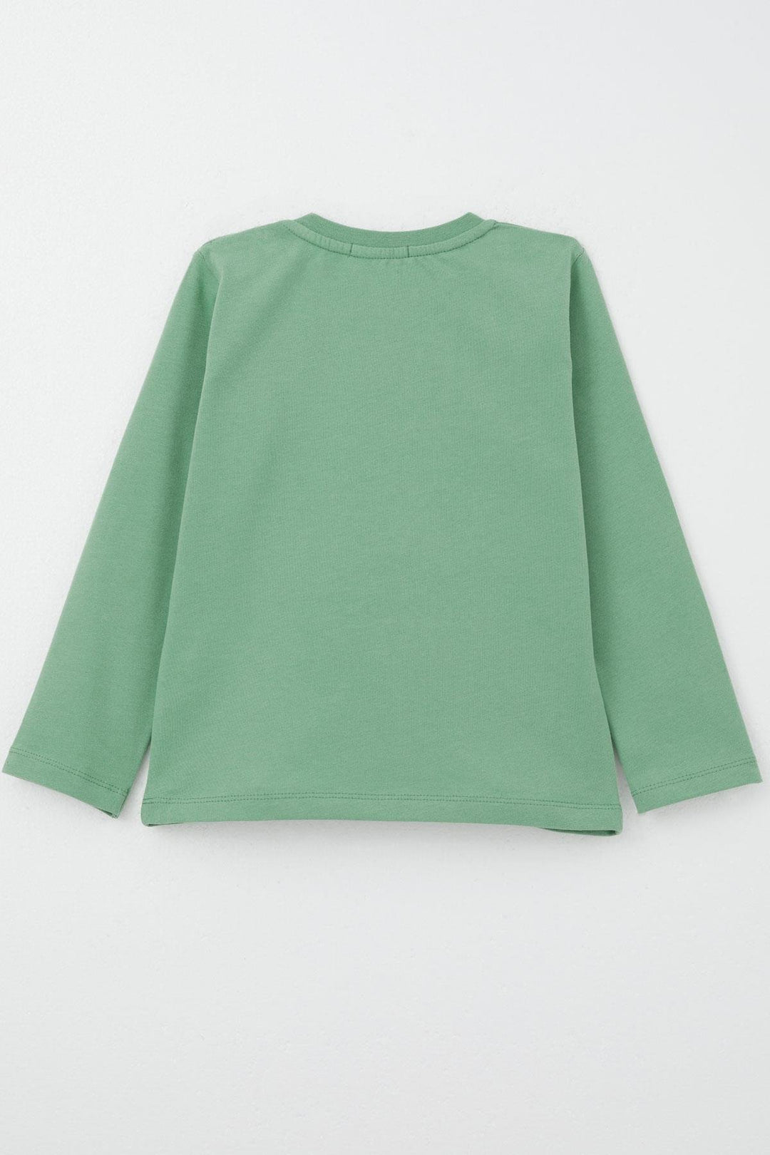 BRE Breeze Baby Boy Long Sleeve T-Shirt with Hip Hop Bear Embroidery 9 Months-3 Years, Mint Green - Namur