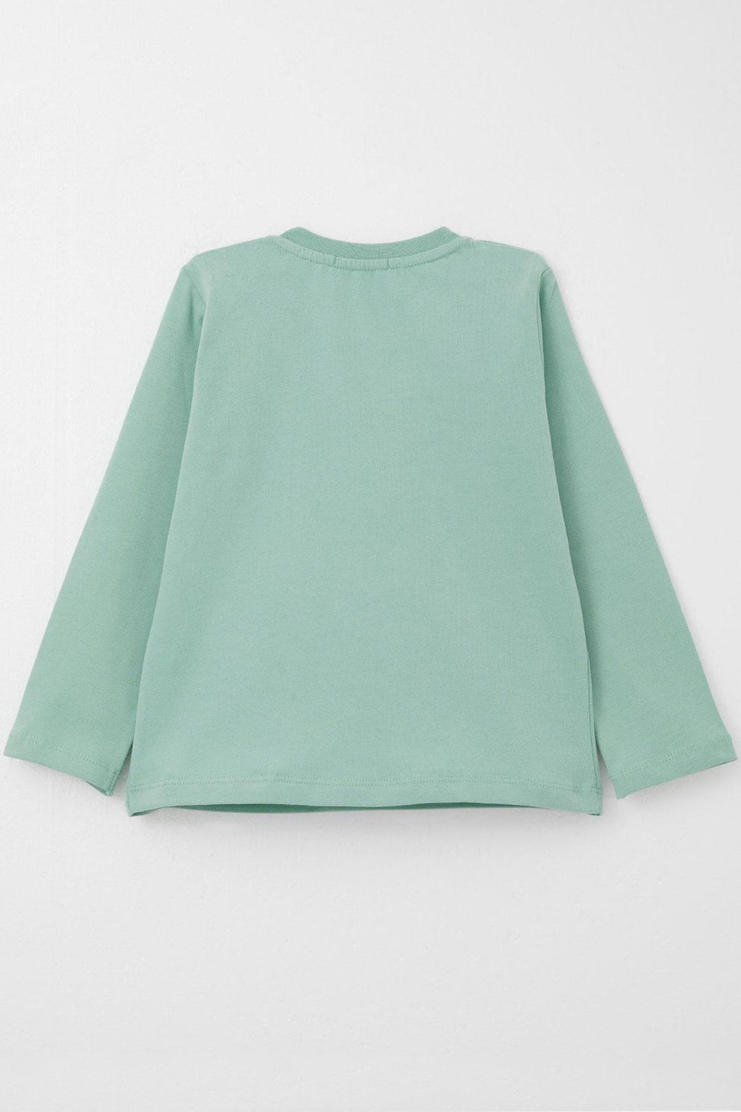 BRE Breeze Baby Boy Long Sleeve T-Shirt with Teddy Bear Embroidery 9 Months-3 Years, Water Green - Jacksonville