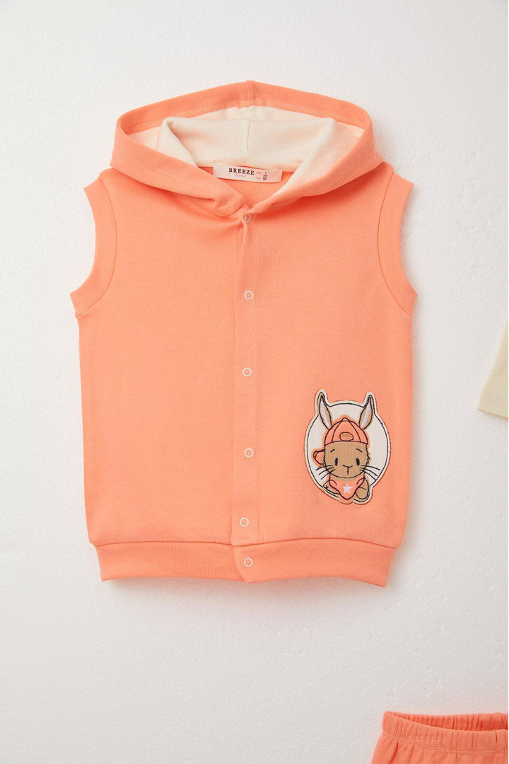 BRE Breeze Baby Boy Bodysuit 3-Piece Set لطيف الأرنب المطرز 4 أشهر سنة، سالمون - وارينغتون