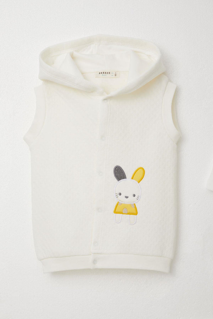 BRE Breeze Baby Boy Bodysuit 3-Piece Set with Bunny Embroidery Hooded 4 Months Year, Beige - Harlingen