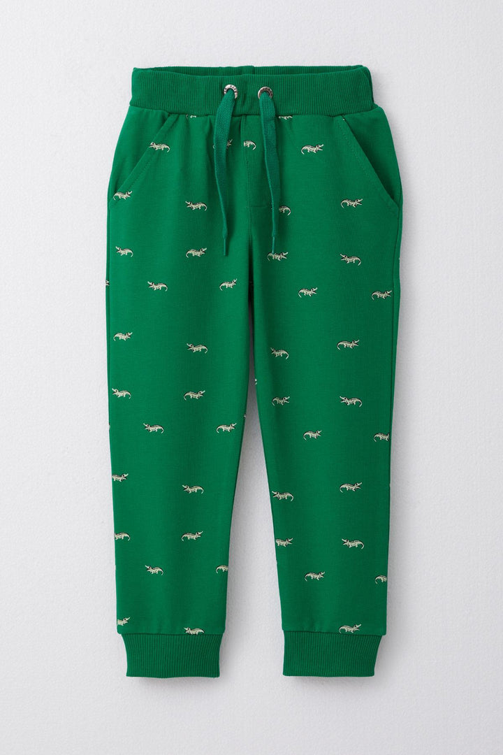 BRE Breeze Boys' Underwear Cute Crocodile Patterned Lace-Up Accessory 3-8 Years, Dark Green - Winston-Salem