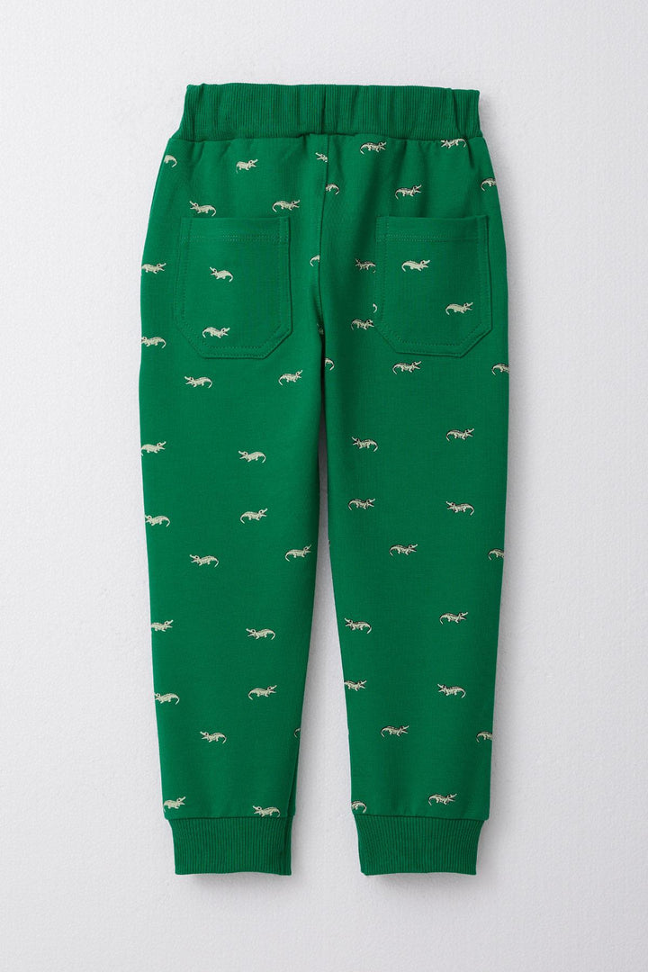 BRE Breeze Boys' Underwear Cute Crocodile Patterned Lace-Up Accessory 3-8 Years, Dark Green - Winston-Salem