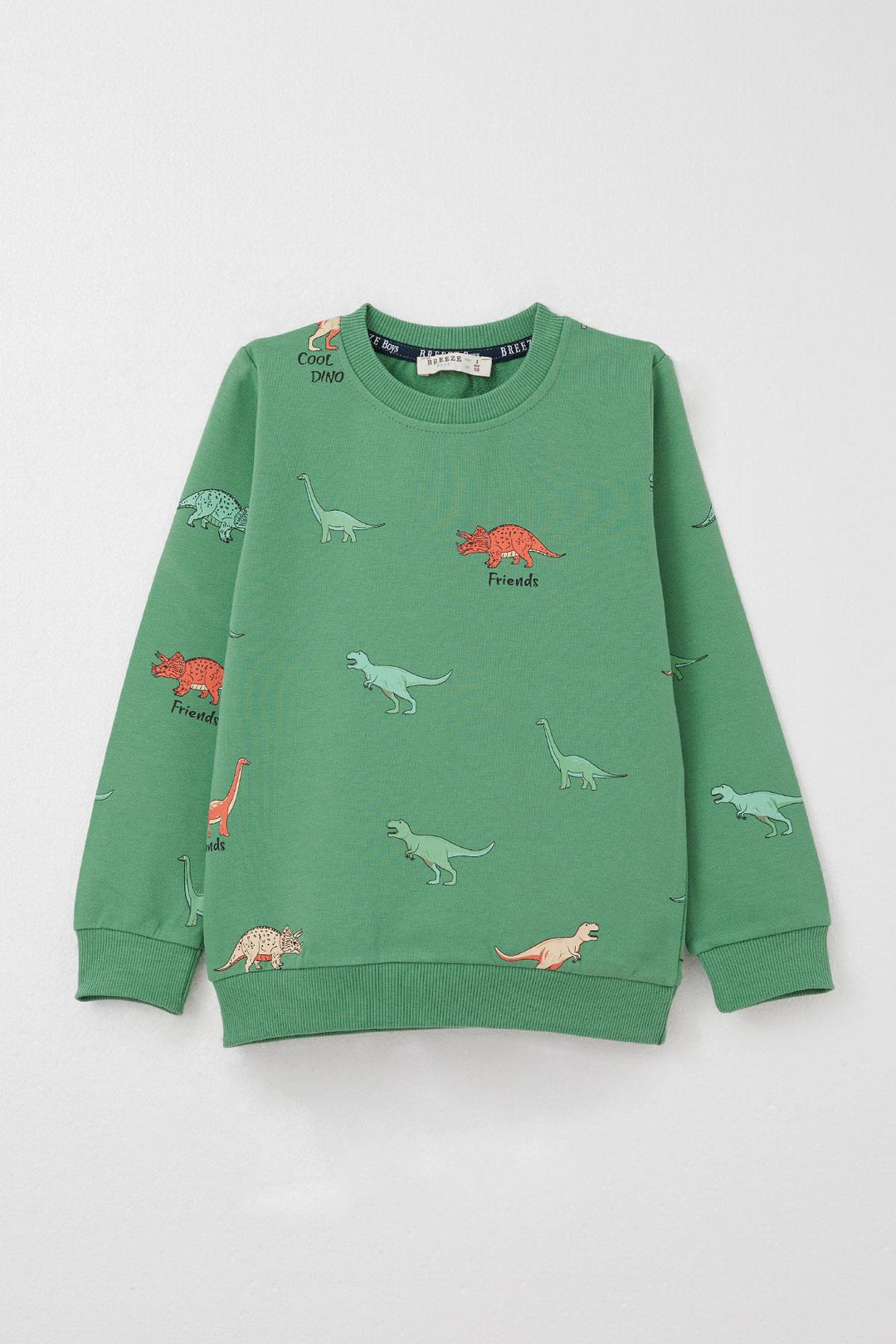 BRE Breeze Boys' Tracksuit Dinosaur World 2-6 Years, Mint Green - Fredericton