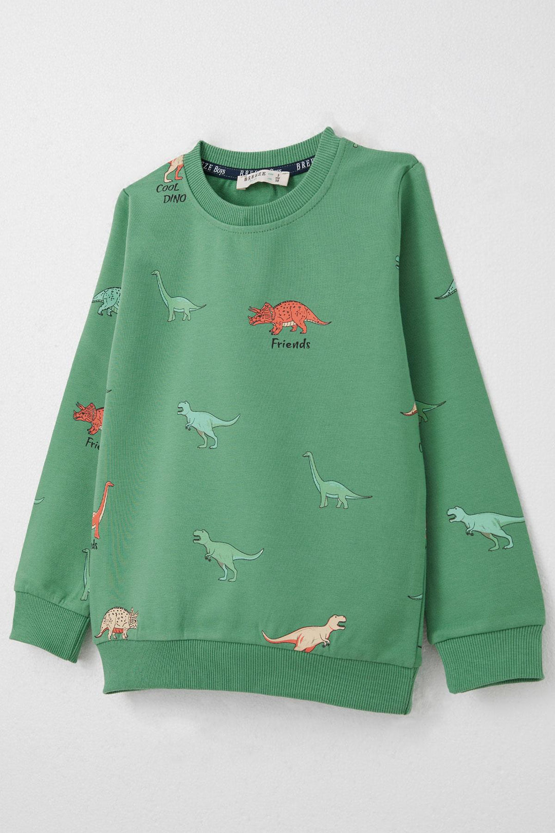 BRE Breeze Boys' Tracksuit Dinosaur World 2-6 Years, Mint Green - Fredericton