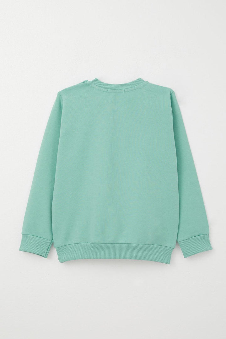BRE Breeze Boys' Tracksuit Skateboarder Cute Bear Printed 1-4 Years, Aqua Green - Rockhampton