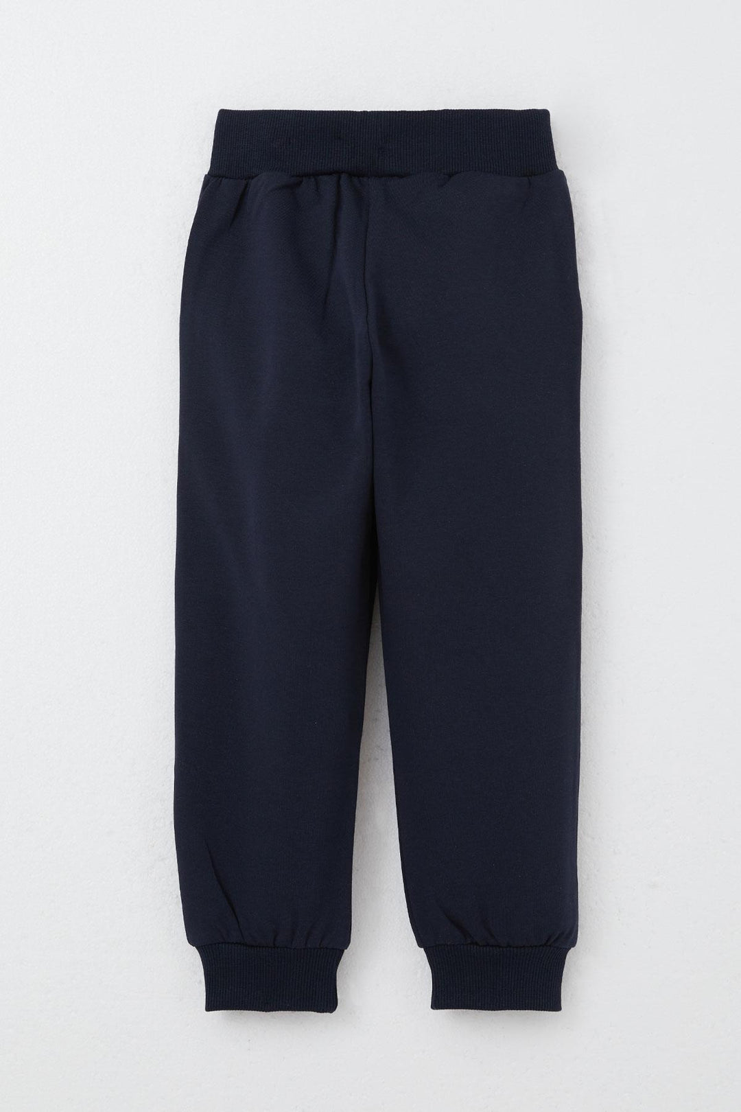 BRE Breeze Boys' Tracksuit Set College Champion Cute Bear Printed 2-6 Years, Gray - Drohobych