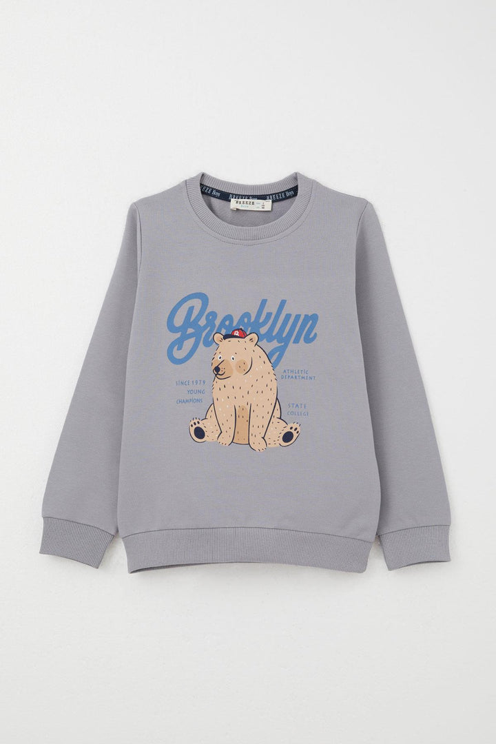BRE Breeze Boys' Tracksuit Set College Champion Cute Bear Printed 2-6 Years, Gray - Drohobych
