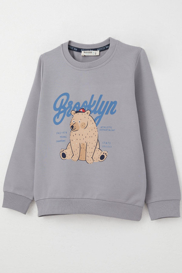 BRE Breeze Boys' Tracksuit Set College Champion Cute Bear Printed 2-6 Years, Gray - Drohobych