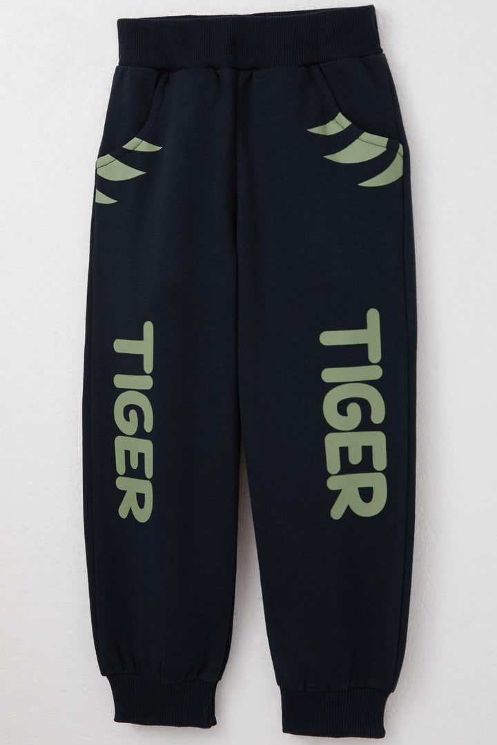 BRE Breeze Boys' Sweat Suit Set with Moving Tiger Embroidery on Ears, 1-4 Years, Mint Green - Delmenhorst