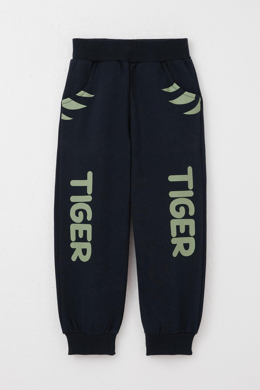 BRE Breeze Boys' Sweat Suit Set with Moving Tiger Embroidery on Ears, 1-4 Years, Mint Green - Delmenhorst