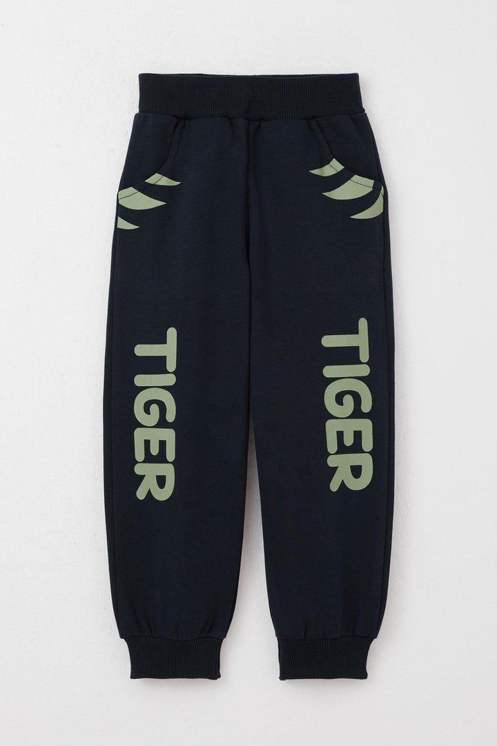 BRE Breeze Boys' Sweat Suit Set with Moving Tiger Embroidery on Ears, 1-4 Years, Mint Green - Delmenhorst