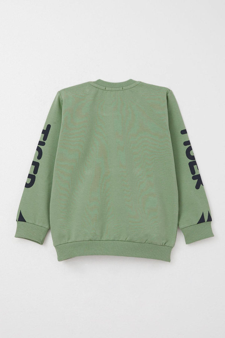 BRE Breeze Boys' Sweat Suit Set with Moving Tiger Embroidery on Ears, 1-4 Years, Mint Green - Delmenhorst