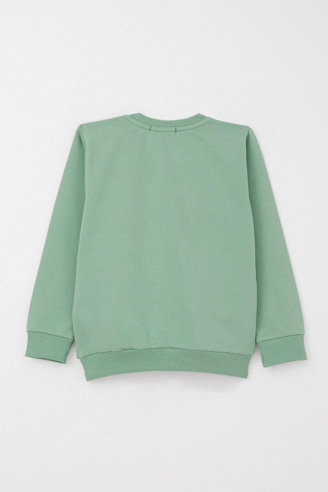BRE Breeze Boys' Tracksuit Fashion Themed with Printed Text 2-6 Years, Mint Green - Carrollton