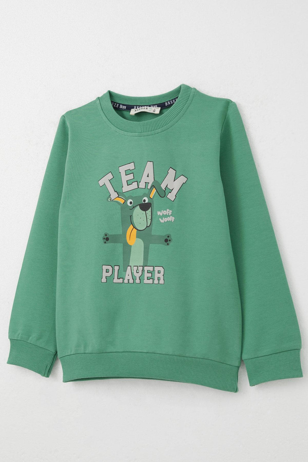 BRE Breeze Boys' Tracksuit Set Player Puppy Printed 1-4 Years, Mint Green - Viterbo