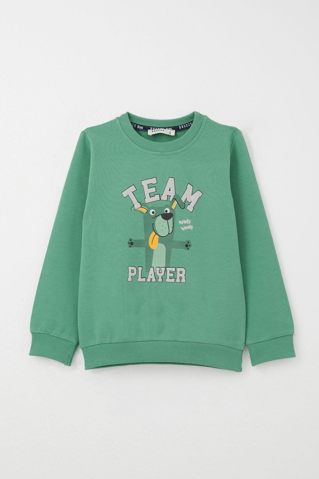BRE Breeze Boys' Tracksuit Set Player Puppy Printed 1-4 Years, Mint Green - Viterbo