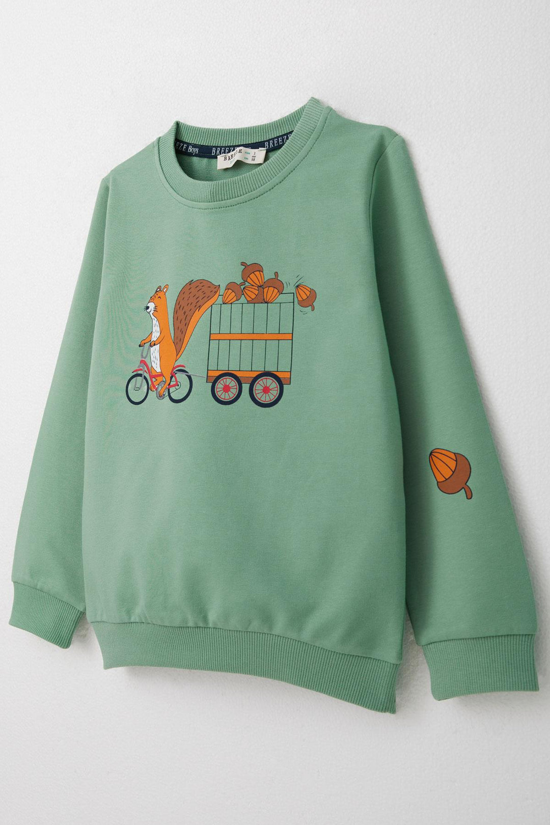 BRE Breeze Boys' Sweat Suit Cute Squirrel & Acorn Print 1-4 Years, Mint Green - Córdoba