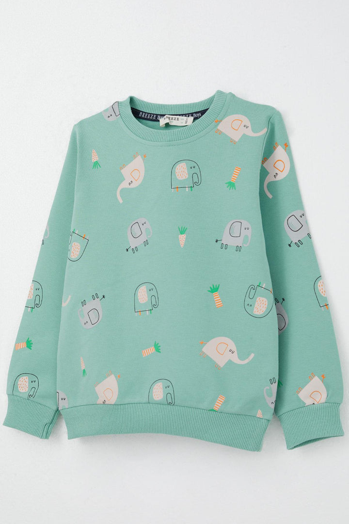 BRE Breeze Boys' Sweat Suit Cute Elephant Patterned 1-4 Years, Water Green - Monclova