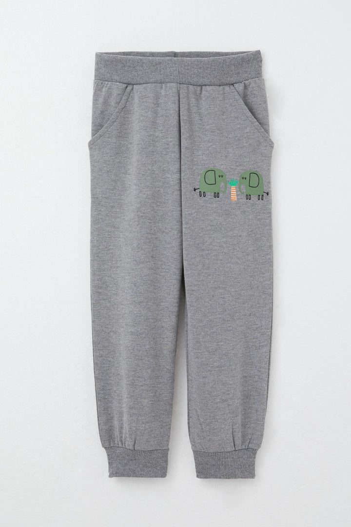 BRE Breeze Boys' Tracksuit Cute Elephant Patterned 1-4 Years, Mint Green - Norwich