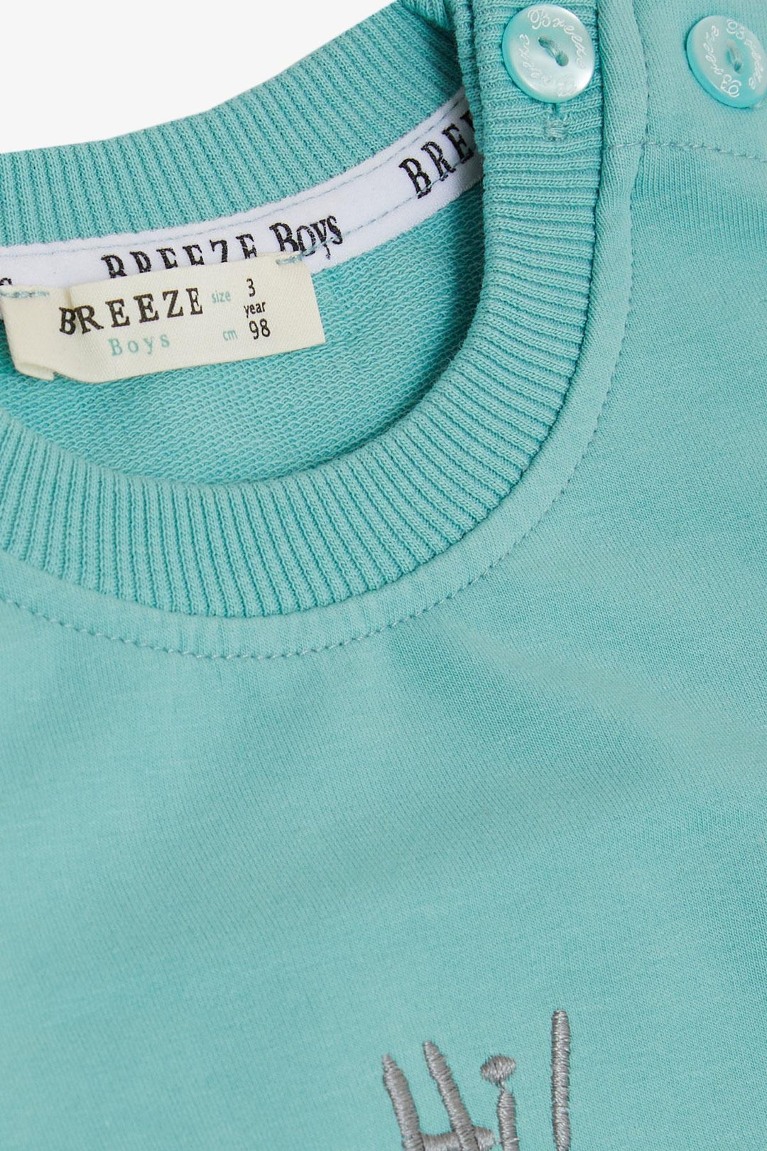 بدلة رياضية للأولاد من BRE Breeze، ذراع مطرزة على شكل جرو لطيف، بجيوب 1-4 سنوات، أخضر مائي - Elda