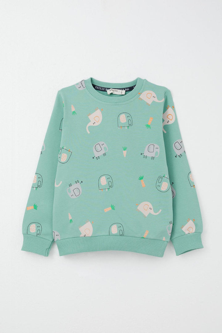 BRE Breeze Boys' Sweat Suit Cute Elephant Patterned 1-4 Years, Water Green - Monclova