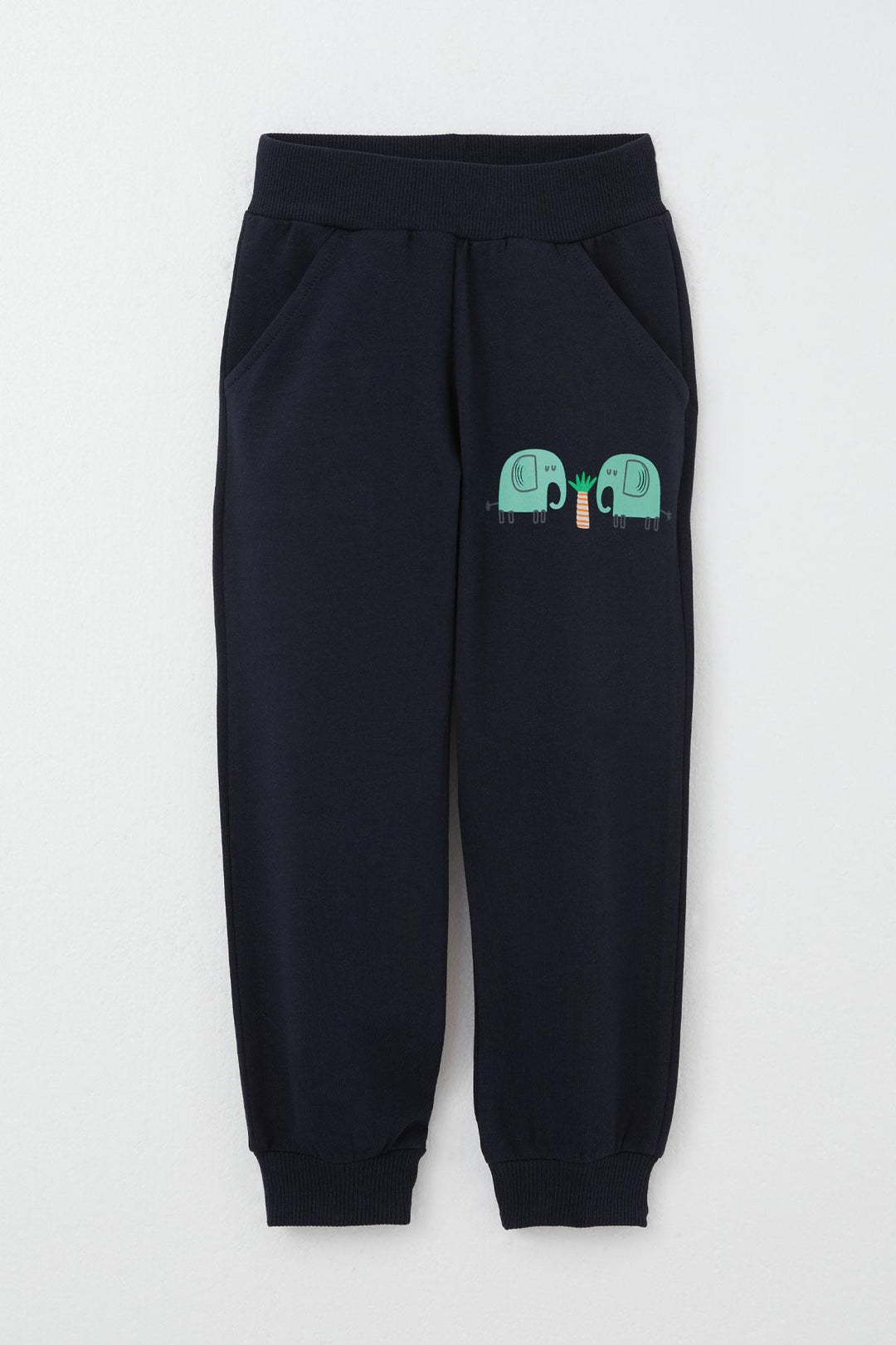 BRE Breeze Boys' Sweat Suit Cute Elephant Patterned 1-4 Years, Water Green - Monclova
