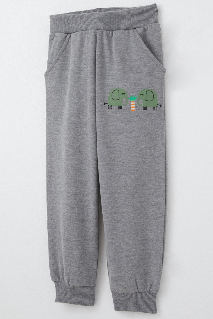 BRE Breeze Boys' Tracksuit Cute Elephant Patterned 1-4 Years, Mint Green - Norwich