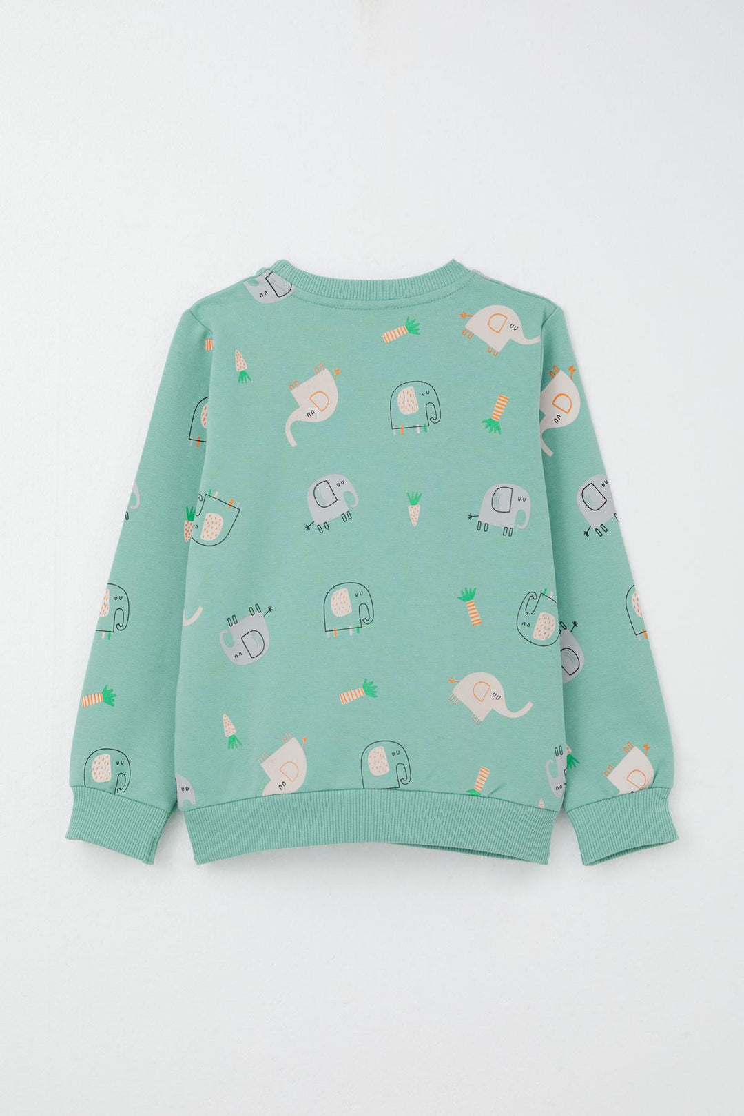 BRE Breeze Boys' Sweat Suit Cute Elephant Patterned 1-4 Years, Water Green - Monclova