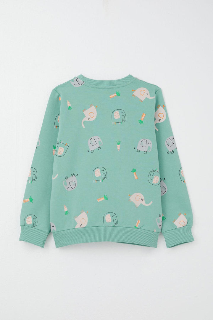 BRE Breeze Boys' Sweat Suit Cute Elephant Patterned 1-4 Years, Water Green - Monclova