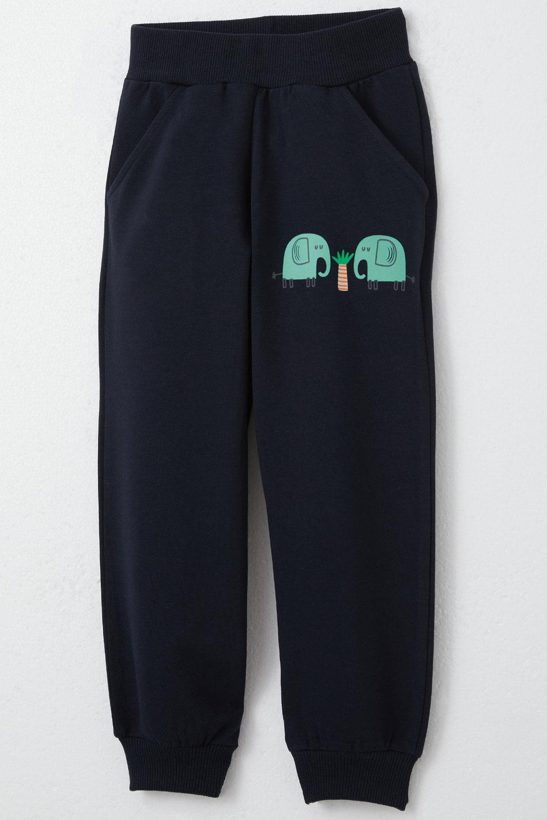BRE Breeze Boys' Sweat Suit Cute Elephant Patterned 1-4 Years, Water Green - Monclova