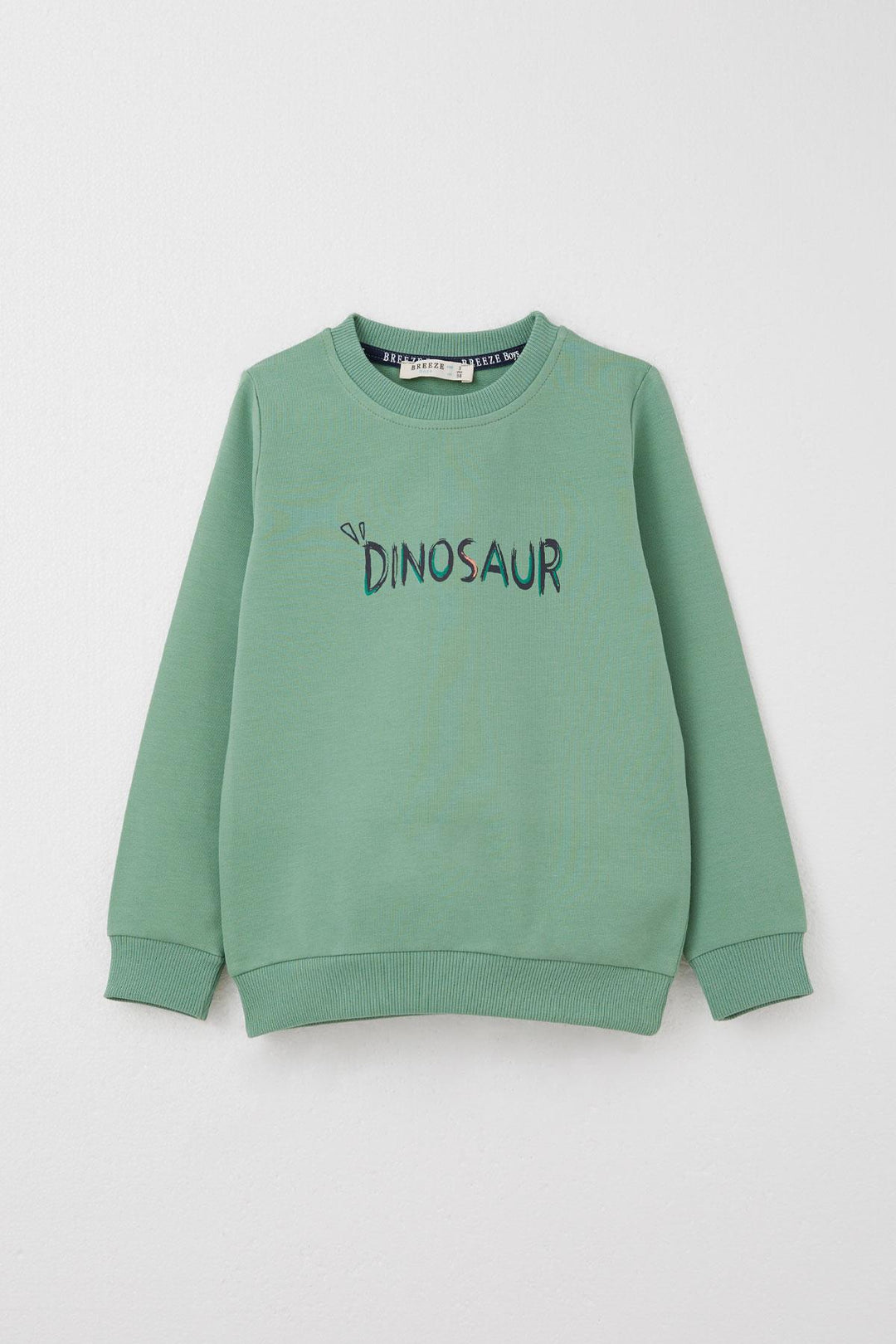 BRE Breeze Boys' Tracksuit Set with Fun Dinosaur Print on the Back, 3-8 Years, Mint Green. - Highland