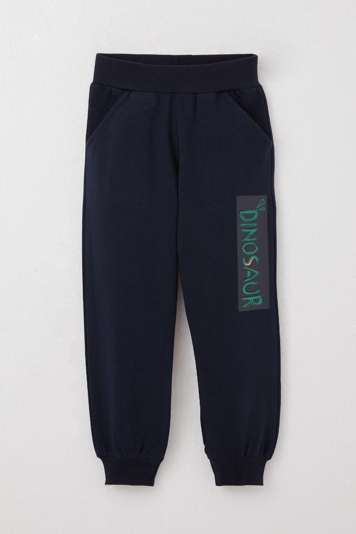 BRE Breeze Boys' Tracksuit Set with Fun Dinosaur Print on the Back, 3-8 Years, Mint Green. - Highland