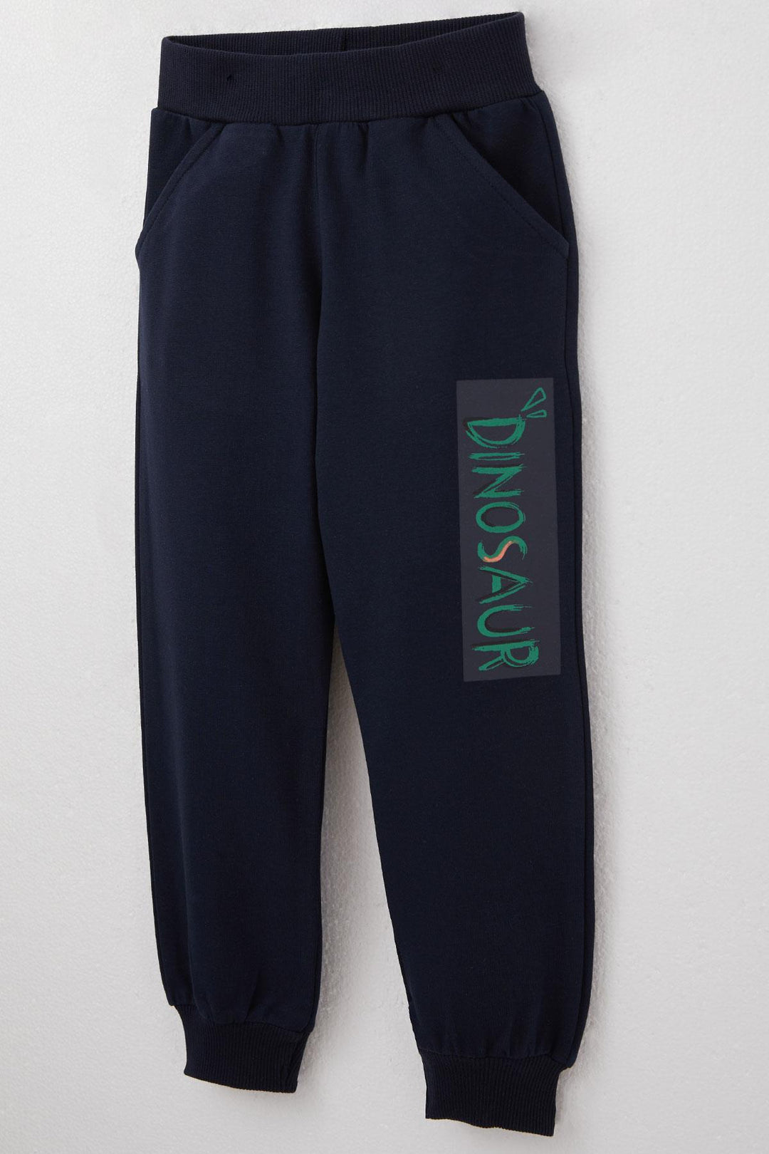 BRE Breeze Boys' Tracksuit Set with Fun Dinosaur Print on the Back, 3-8 Years, Mint Green. - Highland