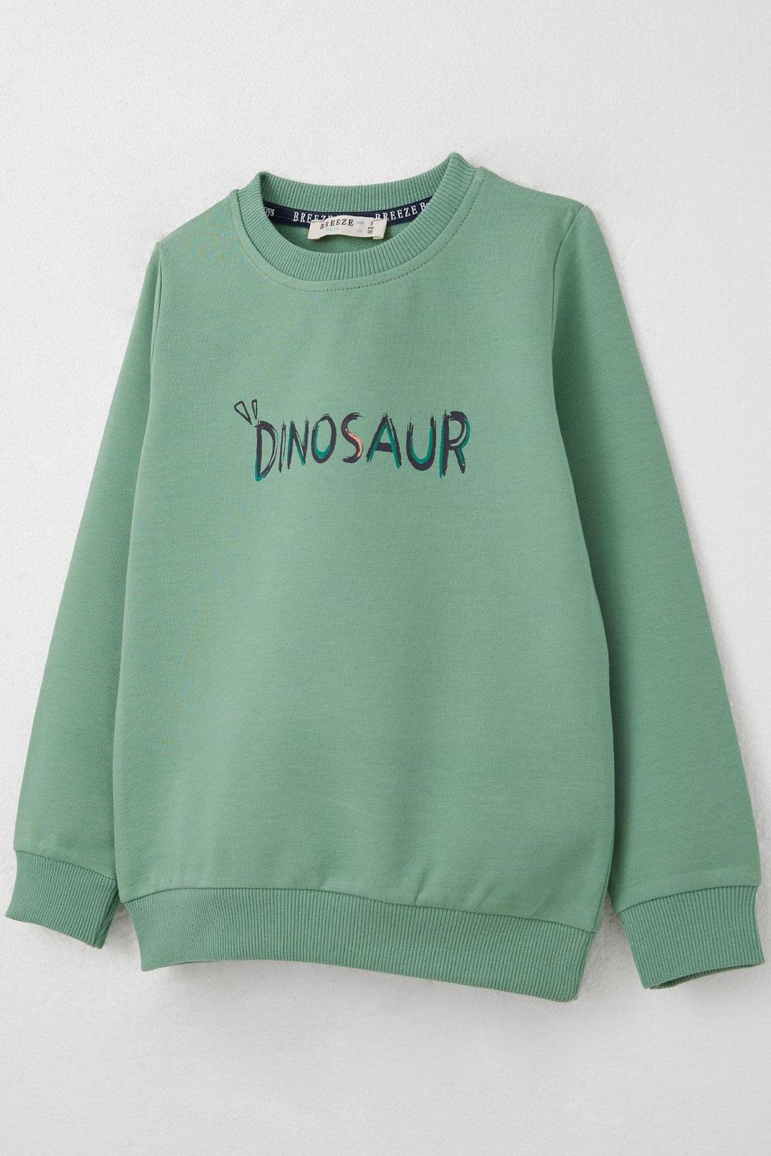 BRE Breeze Boys' Tracksuit Set with Fun Dinosaur Print on the Back, 3-8 Years, Mint Green. - Highland