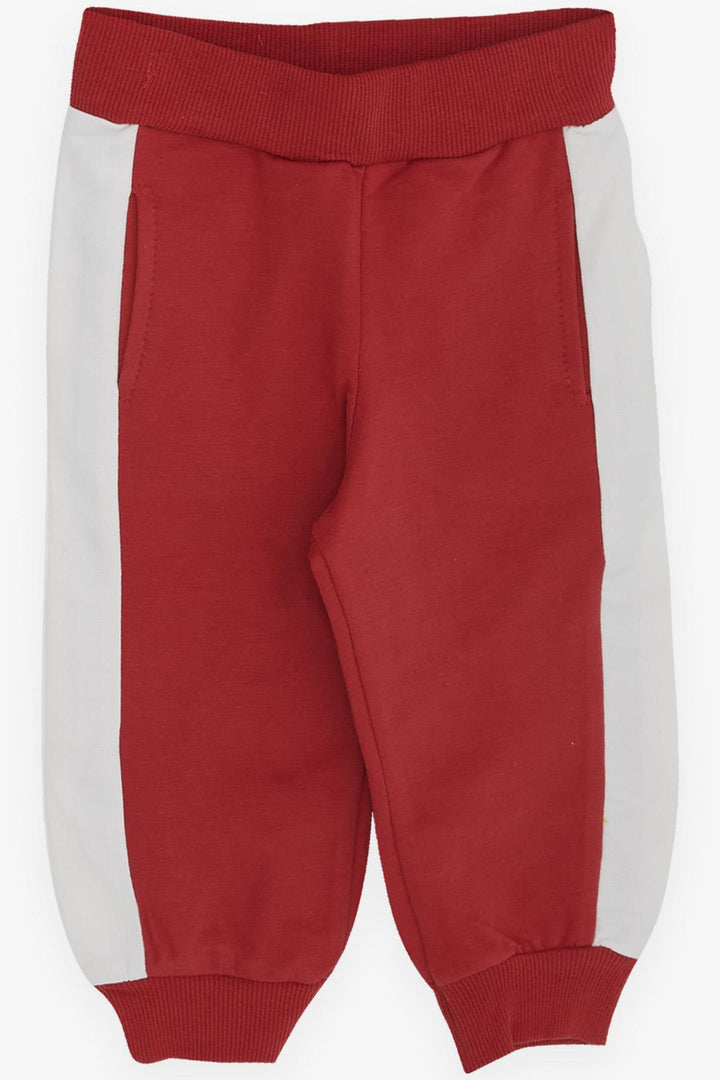 BRE Breeze Boys' Sweat Suit with Bear Print, 1-4 Years, Terracotta - Cesano Maderno