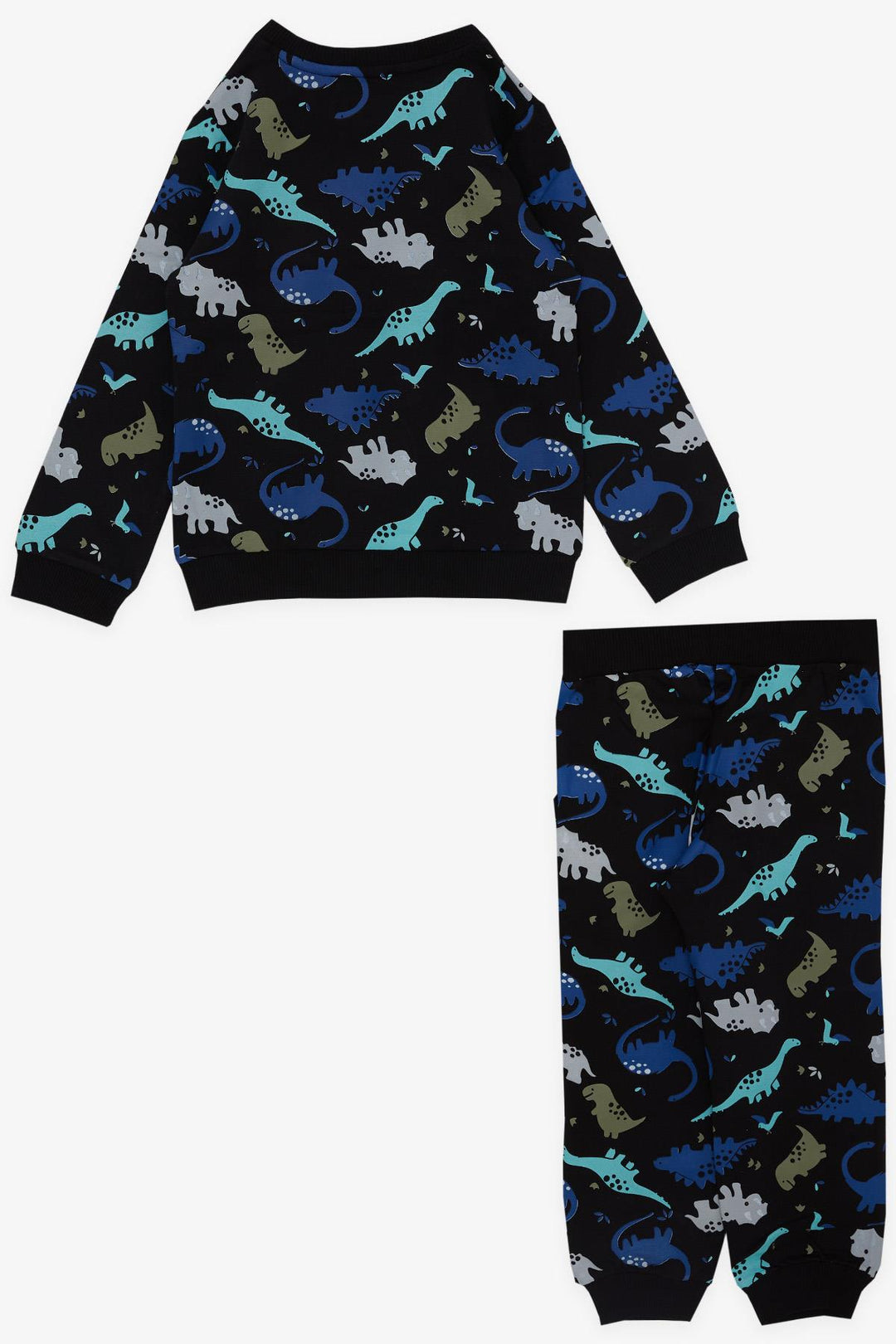 BRE Breeze Girls & Boys Boys' Tracksuit with Dinosaur Pattern, 1-4 Years, Black - Rancho Palos Verdes