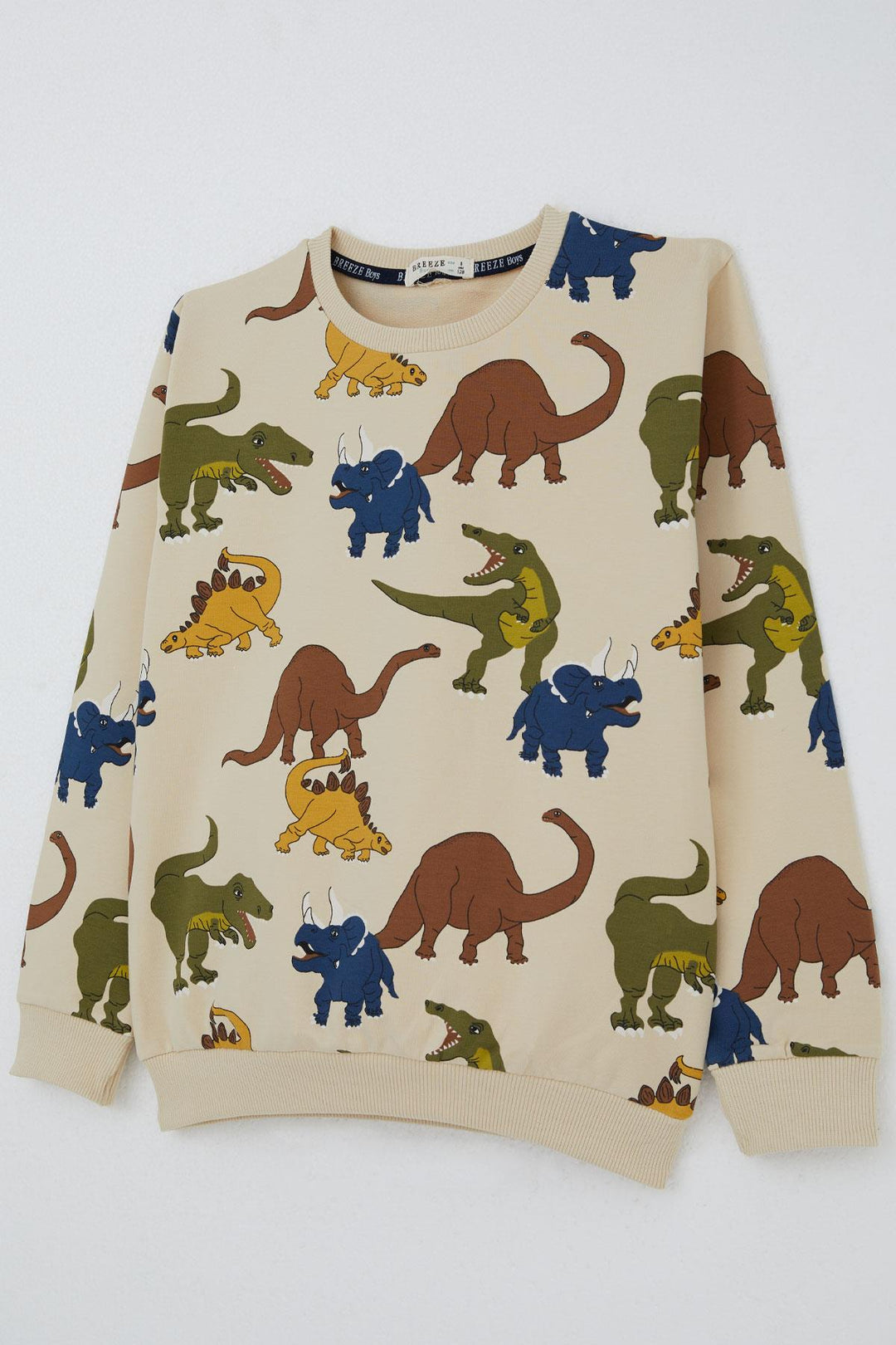 BRE Breeze Erkek Çocuk Eşofman Takım Dinozorlar Alemi Desenli 4-8 Yaş, Bej - Albi